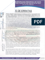 Fe de Erratas PDF