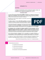 ensayo 06.pdf