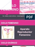 Emb08 El Ciclo Femenino