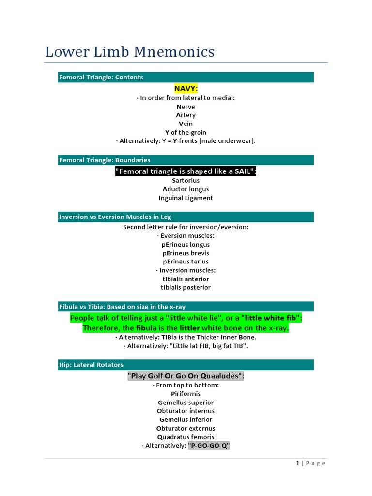 Lower Limb Mnemonics (Highlighted) | PDF | Human Leg | Foot