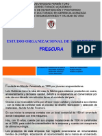 Estudio Organizacional Frescura-1