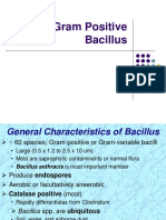 ANkur Bacillus Ppt