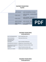 INDICADORES FINANCIEROS