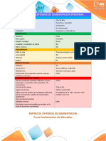 Matriz de Criterios de Segmentación