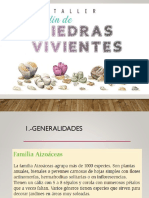 Presentacion Lithops PDF