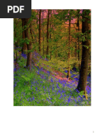 Aparições de defuntos