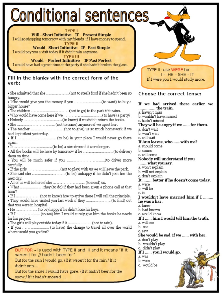 Conditional Sentences and Exercises | PDF