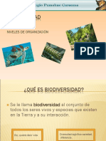 BIO5BUNI3N1CUR Biodiversidad