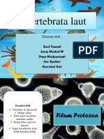 Invertebrata Laut (Siap)