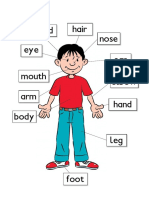 Anatomy diagram of the human body