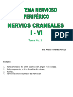 Clase Pares Craneales I Al VI
