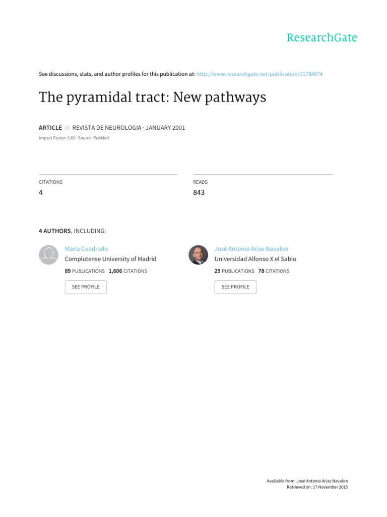 The Pyramidal Tract: Insights Into Its Diverse Functions and Anatomical ...