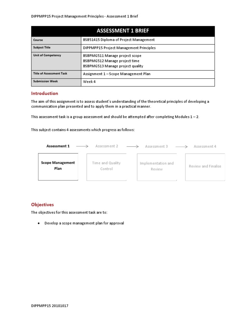 Scope Management Plan Assignment Guide | PDF | Project Management ...