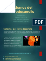 Trastornos Del Neurodesarrollo