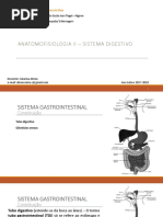 4 Sistema Digestivo