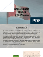 Delincuencia Comun Organizada