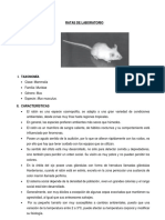 RATAS DE LABORATORIO.docx