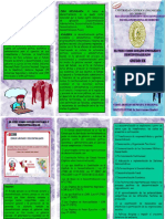 Triptico Municipal 01pdf