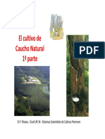 Anexo 2. Caucho Natural 1-Historia y General PDF