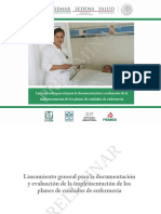 LINEAMIENTOS PLACE.pdf