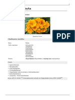 Angiospermas PDF