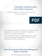 Identifikasi Morfolgi Tumbuhan Pada Ekosistem Hutan Campuran