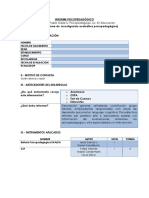 MODELO DE INFORME PSP, ..pdf