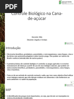 Controle Biológico Na Cana-De-Açúcar