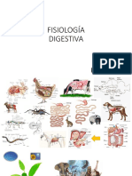 FISIOLOGÍA DIGESTIVA- Monogastricos