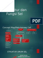 Struktur Dan Fungsi Sel