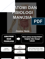 Pengantar Anatomi Dan Fisiologi Manusia