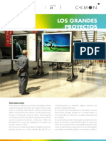 Sesión 41p Los grandes proyectos.pdf