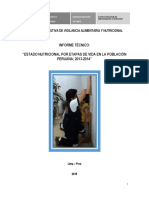 Informe Tecnico Desarrollado PDF