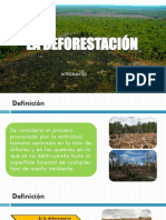 La Deforestación - Diapositivas Expo