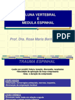 Trauma Espinhal: Lesões, Diagnóstico e Tratamento