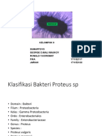 Proteus SP