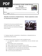 Ficha de Trabalho Nº 5