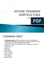 Botani Tanaman Tanaman Obat