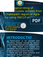 DNA Fingerprinting of M.tuberculosis Isolates From Chakkipath Region of Agra by Using IS Probe