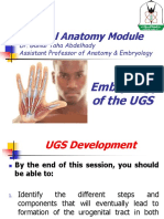 YU - UGS - Embryology - Part 1
