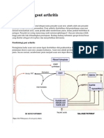 82863081 Patofisiologi Gout