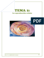 tema-2_la-reproduccic3b3n-celular_curso-2017_181.pdf