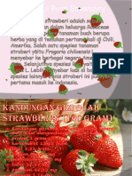 Asal dan Syarat Tumbuh Buah Strawberry