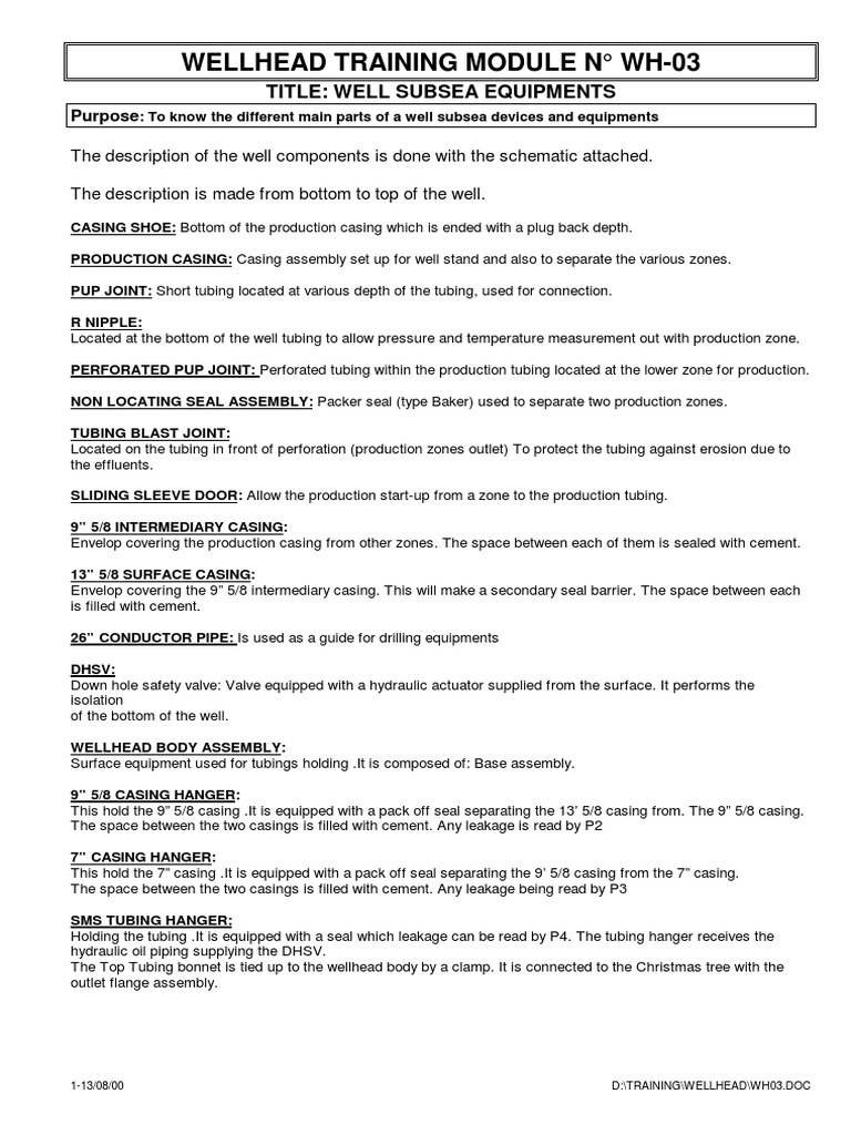 Subsea Well Equipment Overview | PDF | Casing (Borehole) | Pipe (Fluid ...