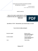 adelina_ghetiu_thesis.pdf