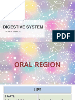 Digestive System