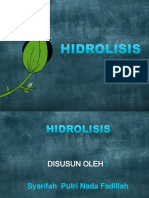  Hidrolisis