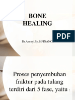 Bone Healing (RAJA)