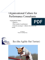 Organizational Culture for Performance Consultants