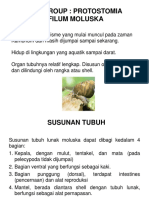 Paleontologi2015-08.pptx